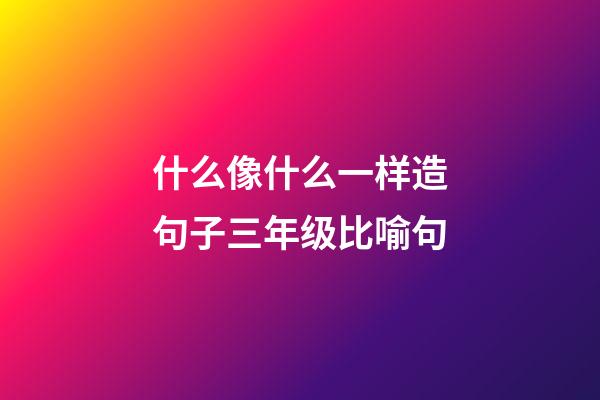 什么像什么一样造句子三年级比喻句