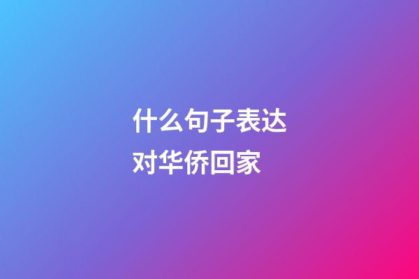 什么句子表达对华侨回家