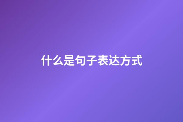 什么是句子表达方式