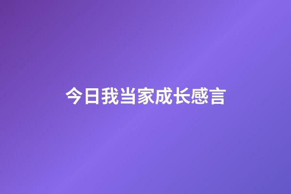 今日我当家成长感言