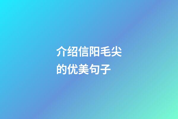 介绍信阳毛尖的优美句子