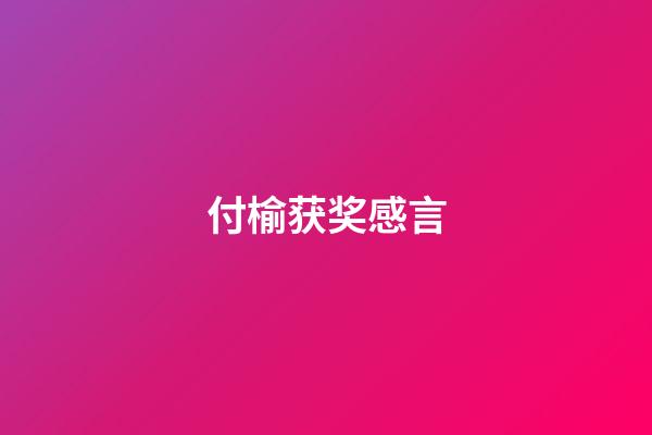 付榆获奖感言