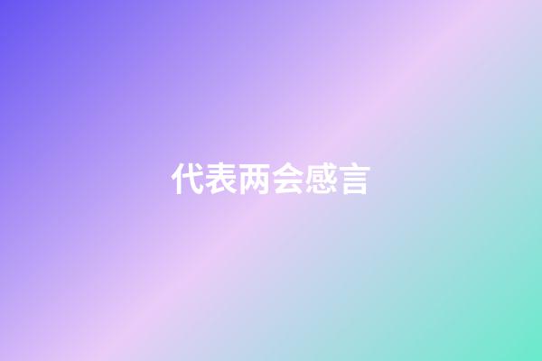 代表两会感言