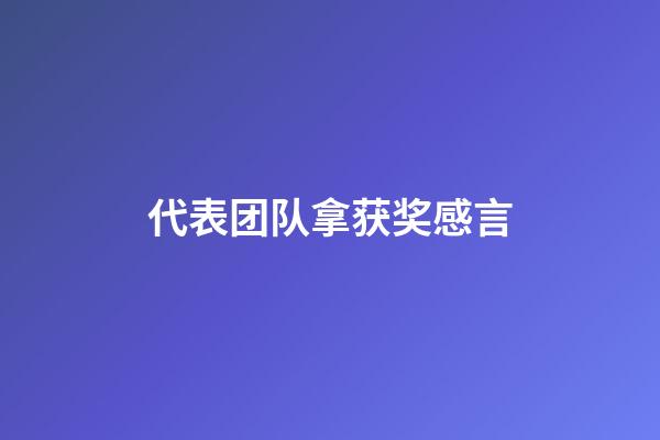 代表团队拿获奖感言