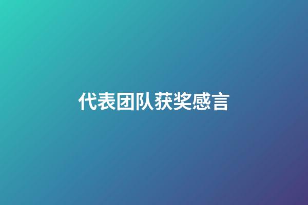 代表团队获奖感言