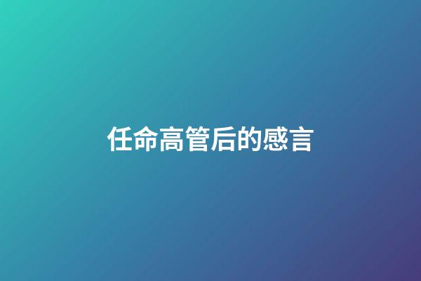 任命高管后的感言