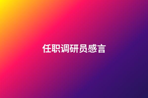 任职调研员感言