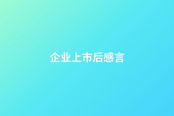 企业上市后感言