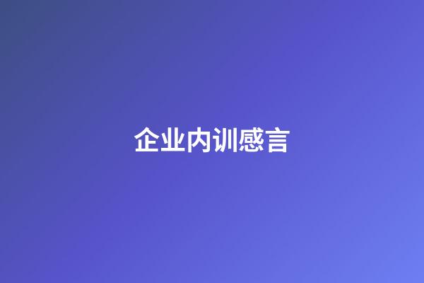 企业内训感言