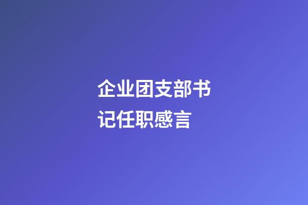 企业团支部书记任职感言