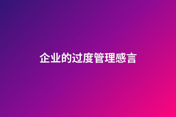 企业的过度管理感言