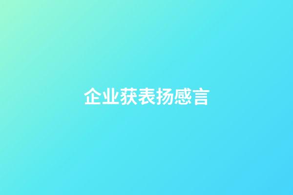 企业获表扬感言