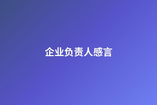 企业负责人感言