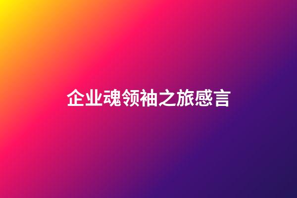 企业魂领袖之旅感言