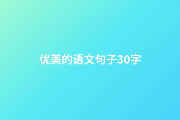 优美的语文句子30字