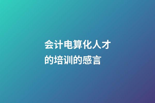 会计电算化人才的培训的感言