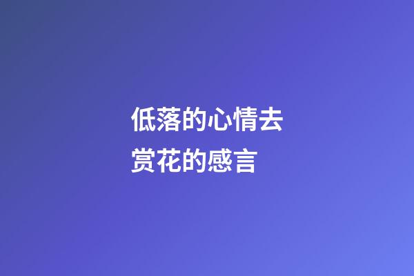 低落的心情去赏花的感言