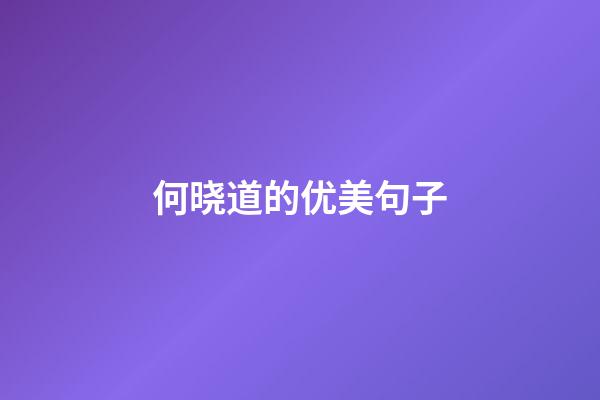 何晓道的优美句子