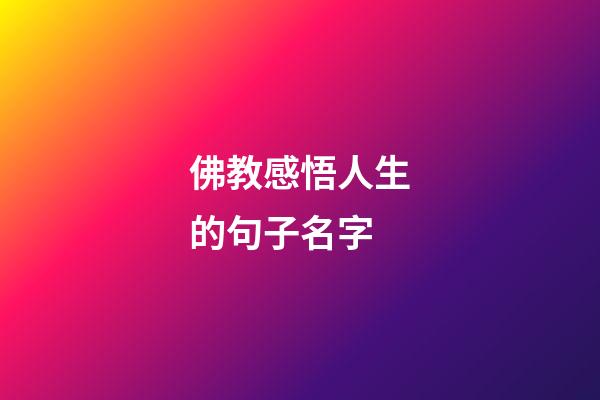 佛教感悟人生的句子名字