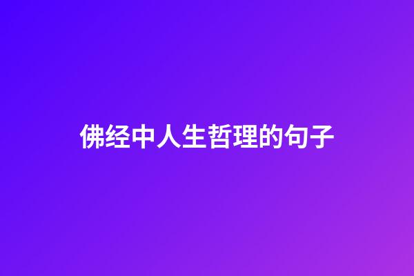 佛经中人生哲理的句子