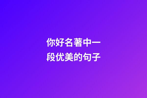 你好名著中一段优美的句子