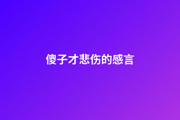 傻子才悲伤的感言