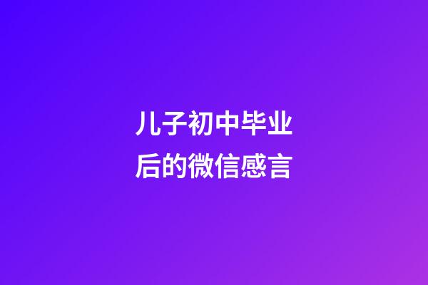 儿子初中毕业后的微信感言