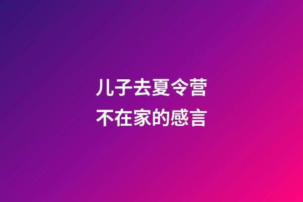 儿子去夏令营不在家的感言