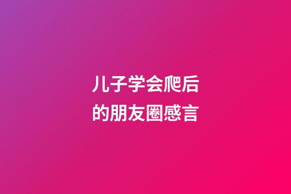 儿子学会爬后的朋友圈感言