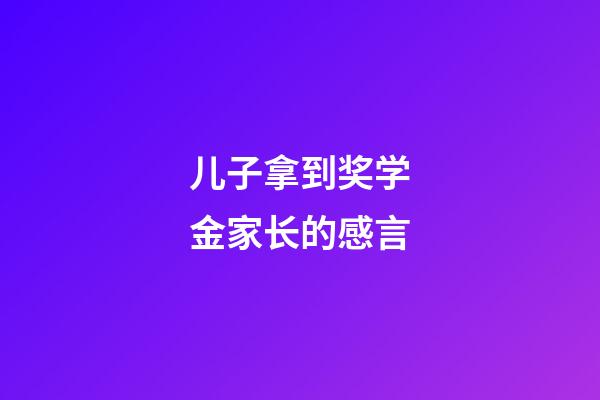 儿子拿到奖学金家长的感言