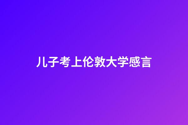 儿子考上伦敦大学感言