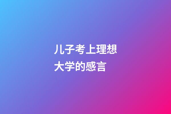 儿子考上理想大学的感言