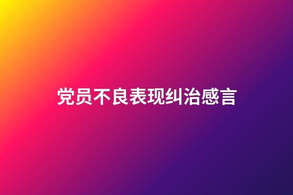 党员不良表现纠治感言