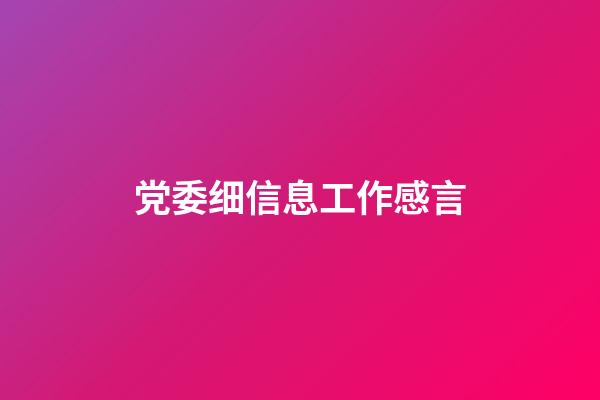 党委细信息工作感言