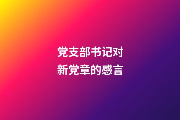 党支部书记对新党章的感言