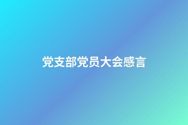 党支部党员大会感言