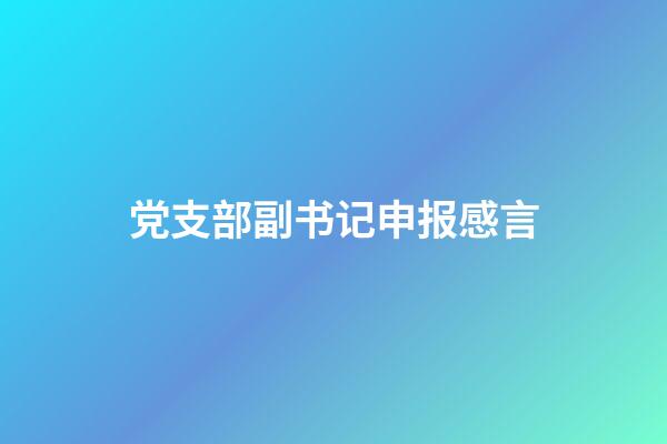 党支部副书记申报感言