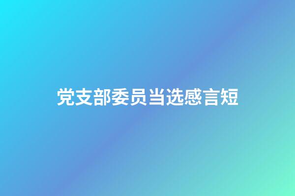 党支部委员当选感言短