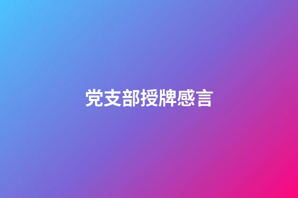 党支部授牌感言