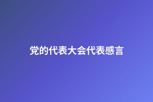 党的代表大会代表感言