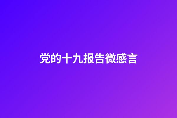 党的十九报告微感言