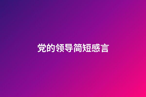 党的领导简短感言