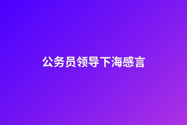 公务员领导下海感言