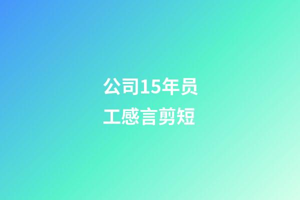 公司15年员工感言剪短