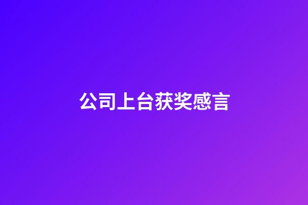 公司上台获奖感言