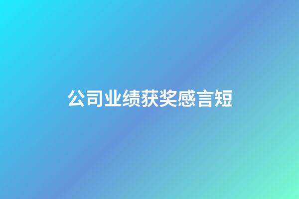 公司业绩获奖感言短