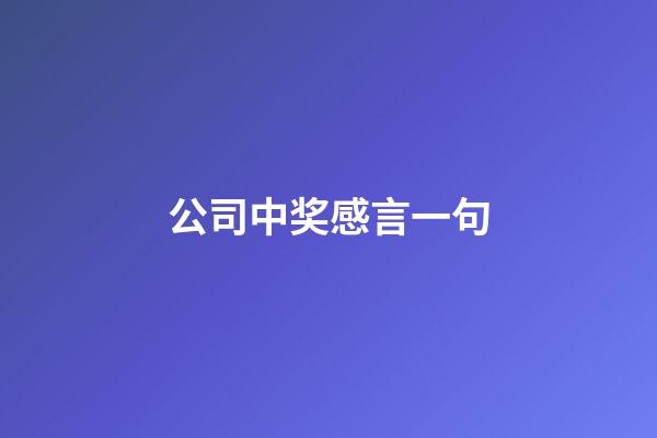 公司中奖感言一句