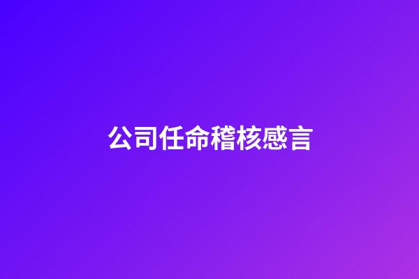 公司任命稽核感言