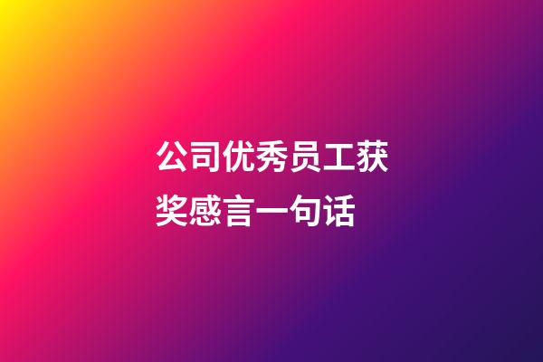 公司优秀员工获奖感言一句话