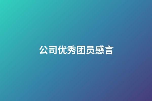 公司优秀团员感言